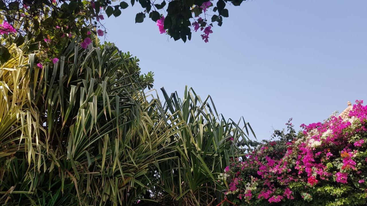 Villa Met Prive Zwembad In Residence Safari Village Saly Portudal Εξωτερικό φωτογραφία